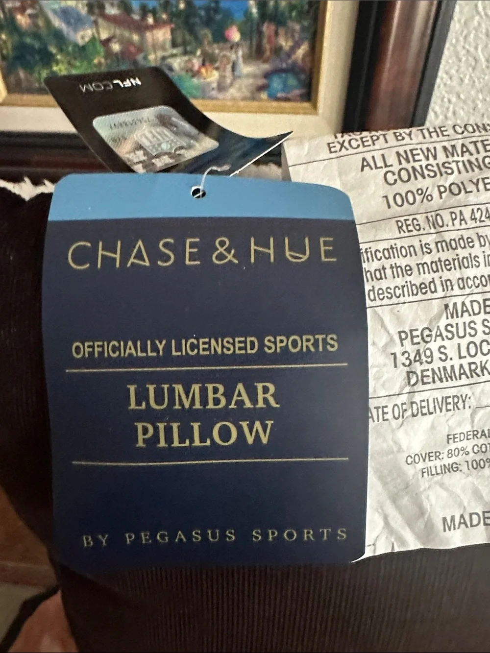 San Francisco 49ers HOME Pillow